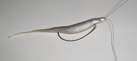 Fall Lure - Fluke With No Weight